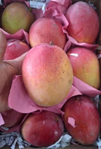 عکس میوه فروشی 