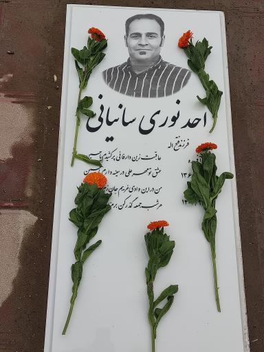 عکس مزار احد نوری سانیانی
