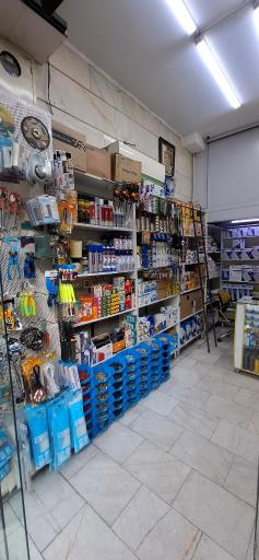 عکس الکتریکی زرین 