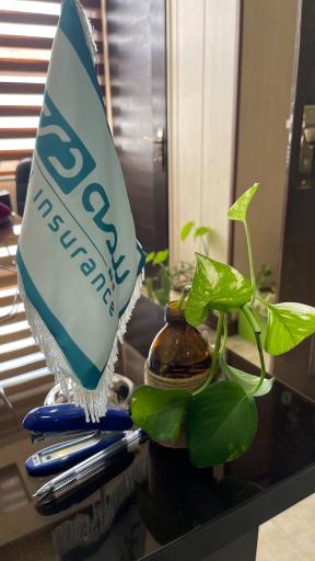 عکس بیمه دی نمایندگی رحیمی