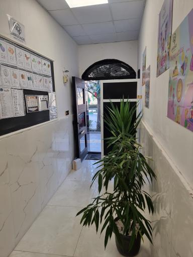 عکس آموزشگاه زبان روشن فکر