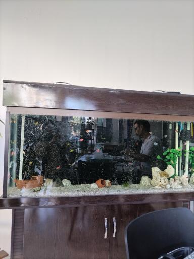 عکس صبحانه سرای نون و نمک