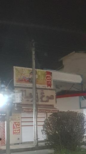 مرغ زربال