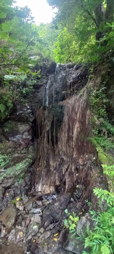 عکس آبشار جنگلی لیالستان سفید چشمه