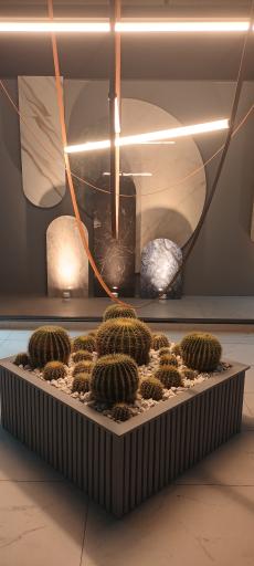 عکس کاشی دانیتا