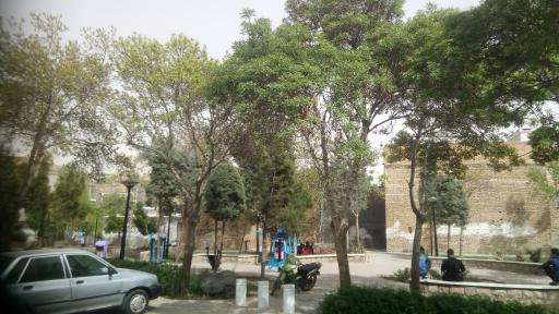 عکس بوستان گل ختمی