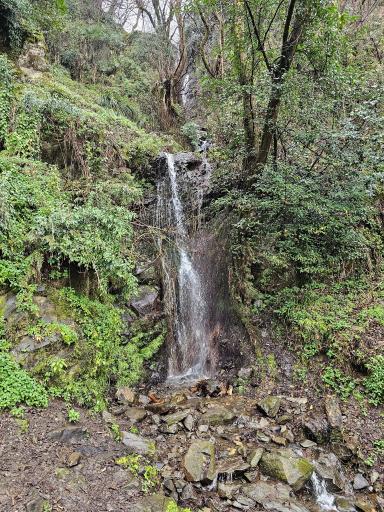 عکس آبشار جنگلی لیالستان سفید چشمه