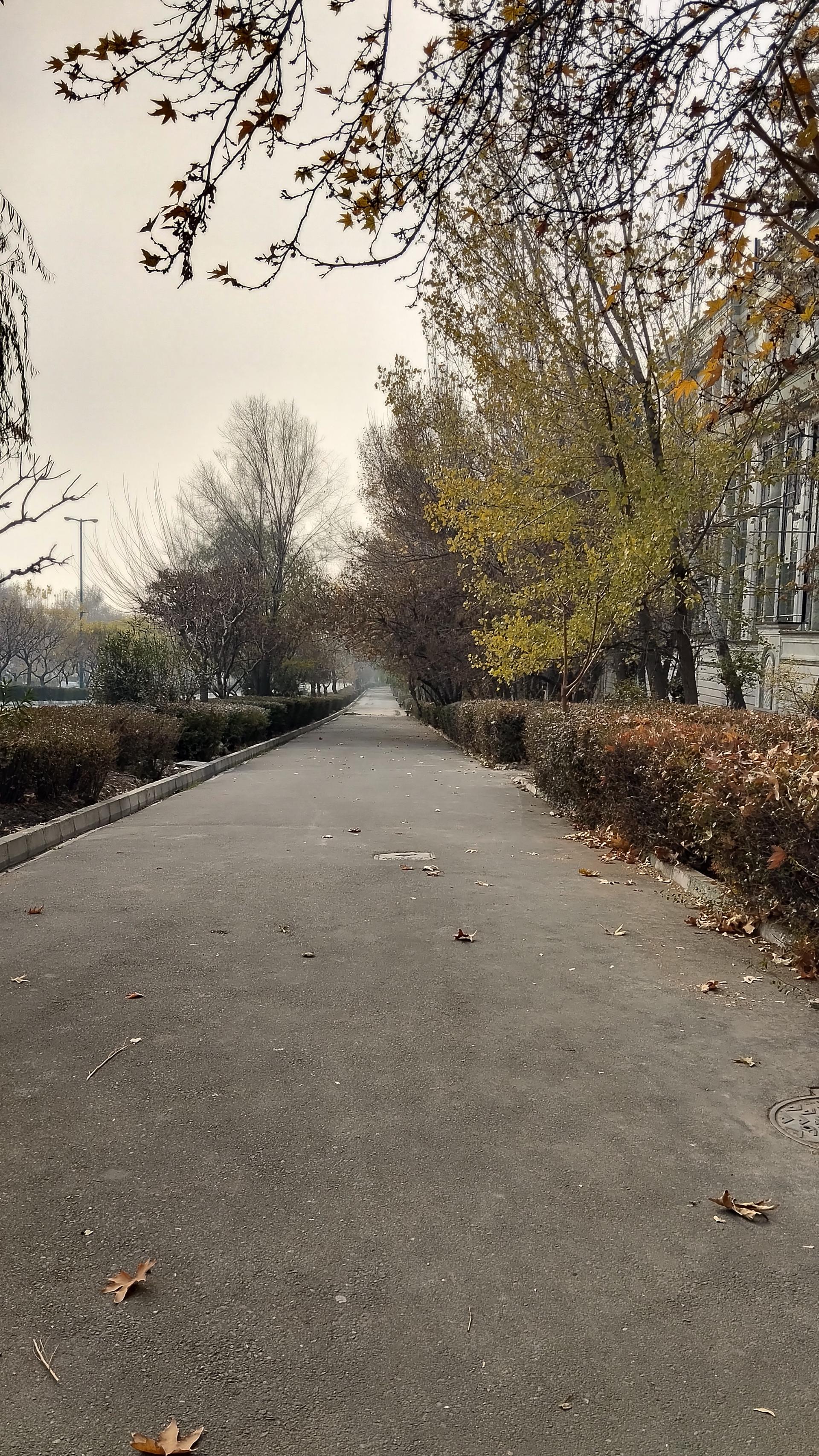 عکس بوستان میهن