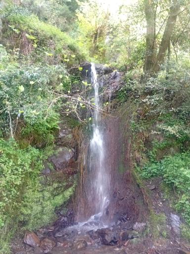 عکس آبشار جنگلی لیالستان سفید چشمه