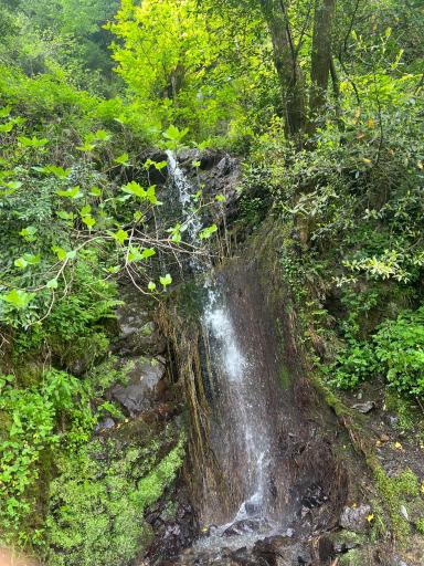 عکس آبشار جنگلی لیالستان سفید چشمه