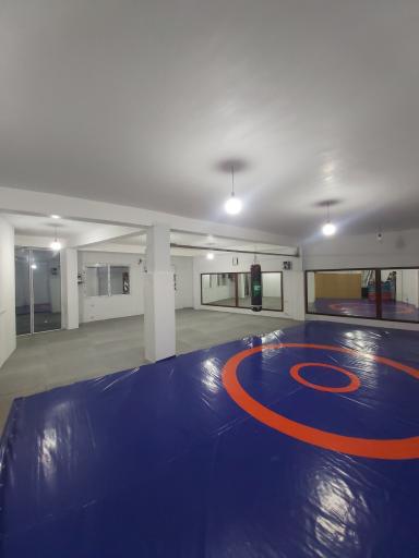 عکس مجموعه ورزشی مسیبی