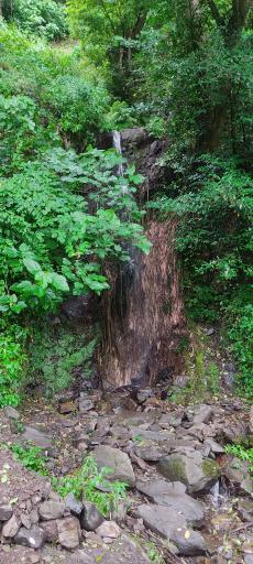 عکس آبشار جنگلی لیالستان سفید چشمه