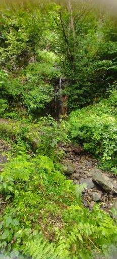 عکس آبشار جنگلی لیالستان سفید چشمه