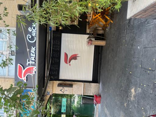 عکس سوخاری فریک چیک