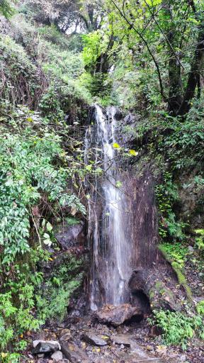 عکس آبشار جنگلی لیالستان سفید چشمه