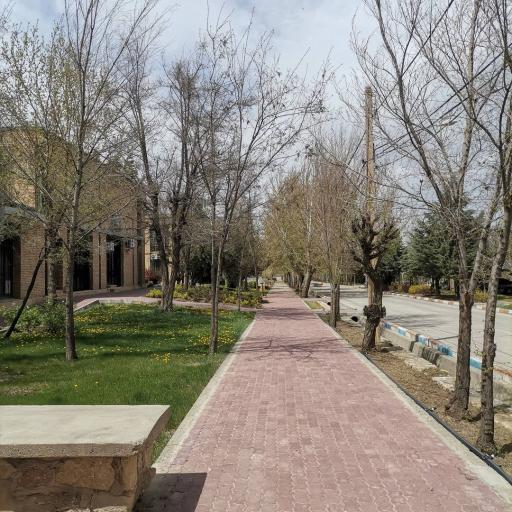 عکس دانشگاه بوعلی سینا