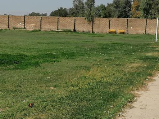 عکس مجموعه ورزشی سرهنگ علی صفری