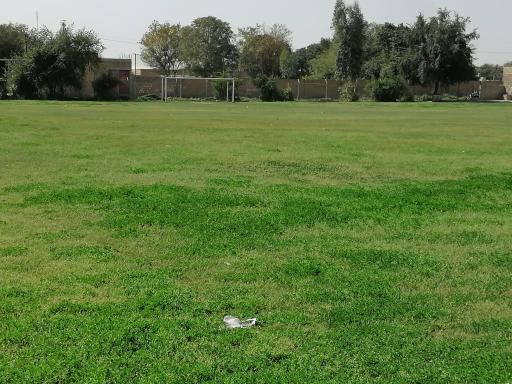 عکس مجموعه ورزشی سرهنگ علی صفری