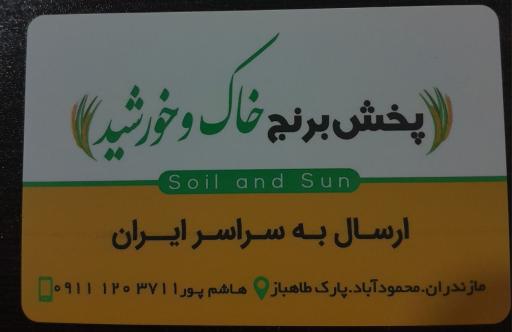 عکس برنج خاک و خورشید 