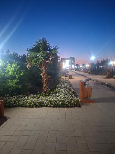 عکس بوستان بانوان و خانواده