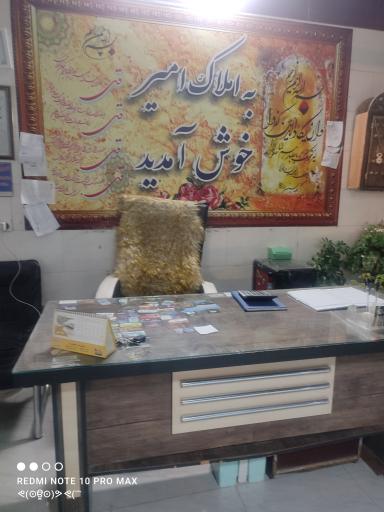 عکس مشاور املاک امیر