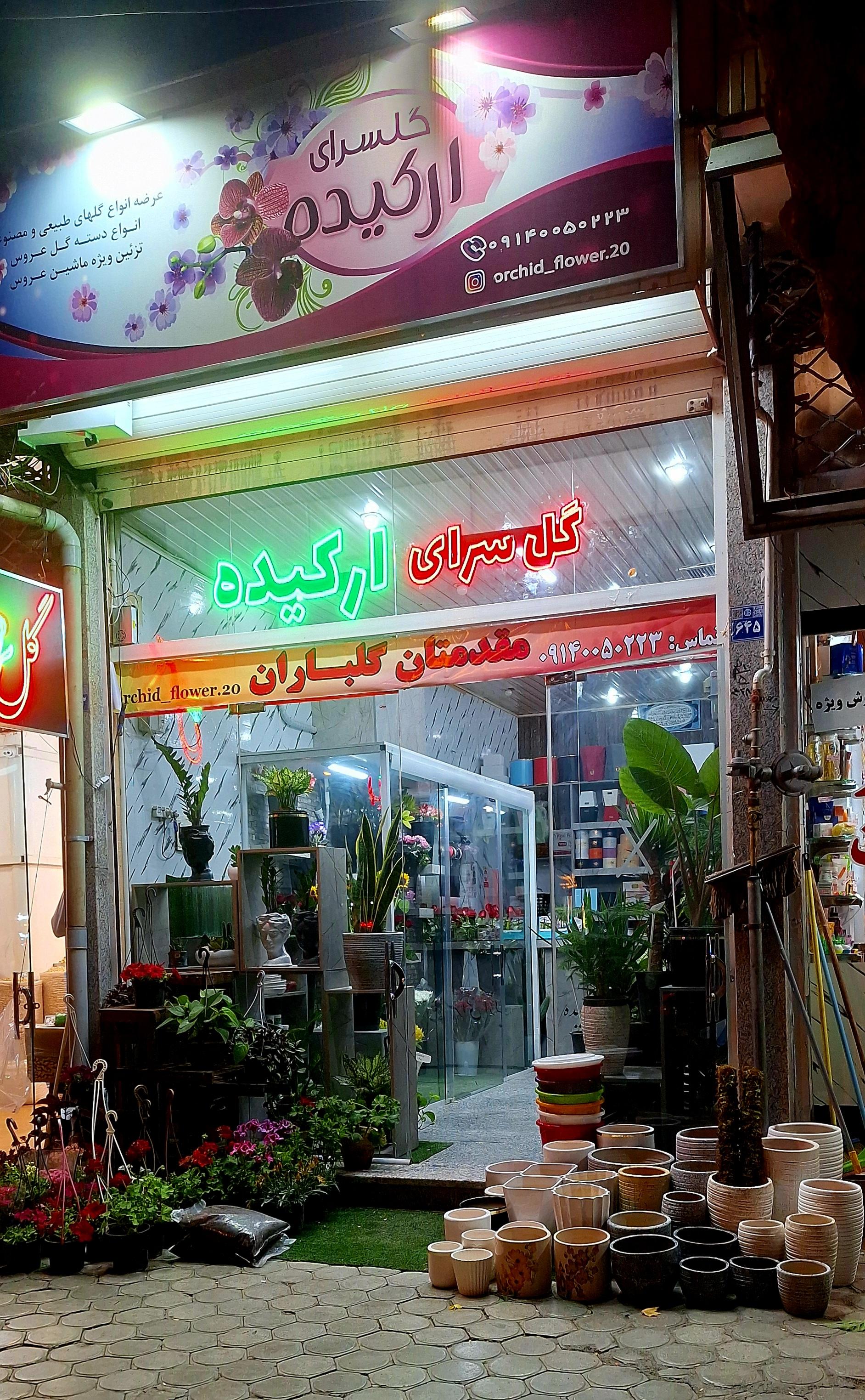 عکس گل سرای ارکیده