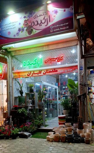 عکس گل سرای ارکیده