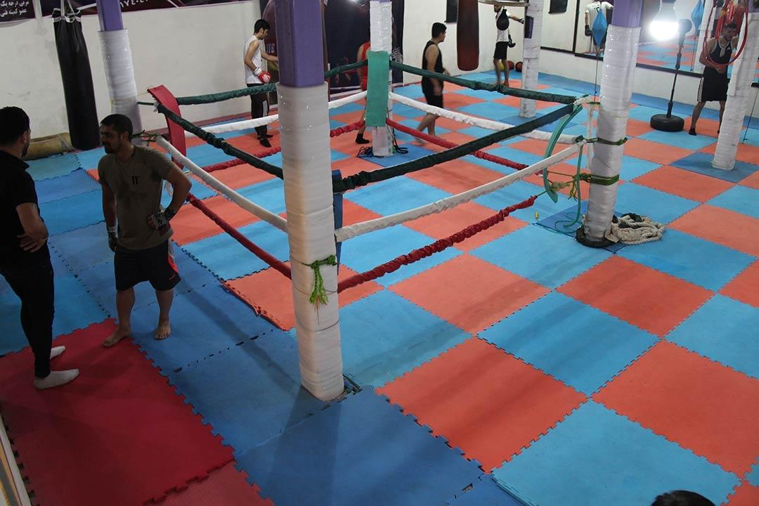 عکس باشگاه بوکس نادر