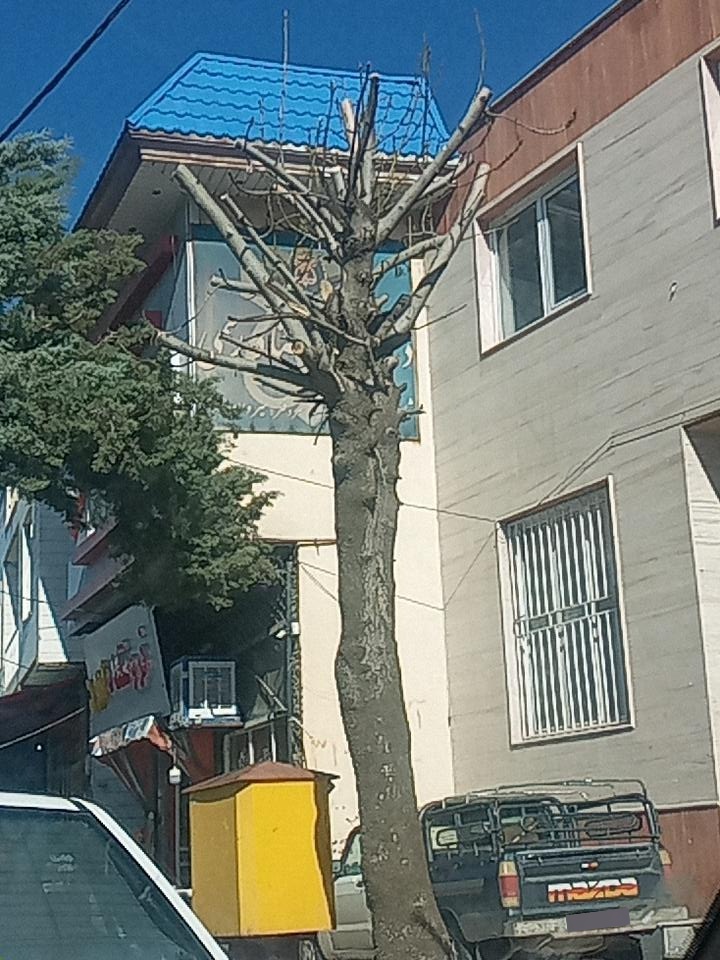 عکس دفترخانە 46 سروآباد