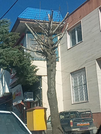 عکس دفترخانە 46 سروآباد