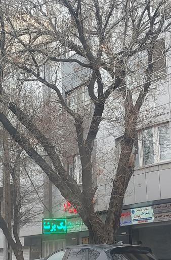 آزمایشگاه ژنتیک پزشکی ژنو طب