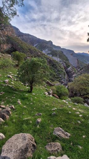 عکس آبشار اول شوی