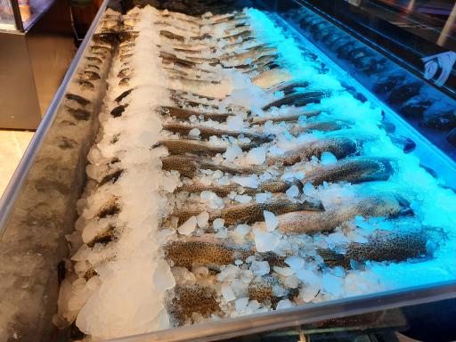 عکس قصاب باشی ساوانا