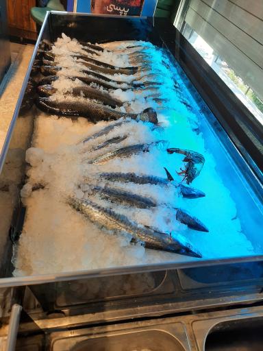 عکس قصاب باشی ساوانا