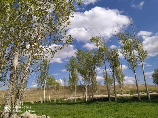 عکس آلانق