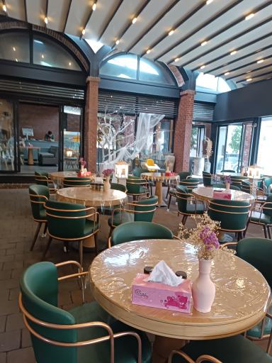 عکس کبابی عینی