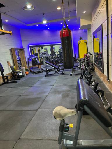 عکس باشگاه بدنسازی آسا 