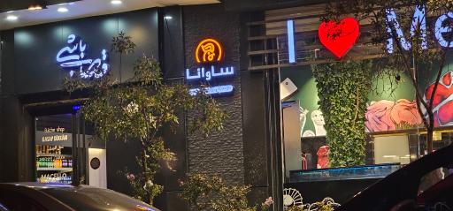 عکس قصاب باشی ساوانا