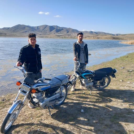 عکس آلانق
