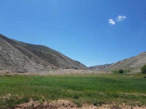 عکس آلانق