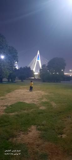 عکس پل کابلی غدیر