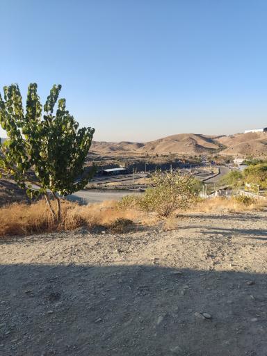 عکس پارکینگ سافاری