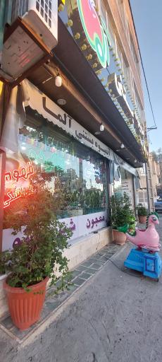 عکس آبمیوه بستنی آلما