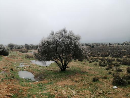 عکس منطقه حفاظت‌شده میان‌جنگل