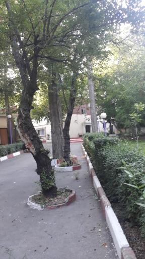 عکس شهرک شهید نامجو