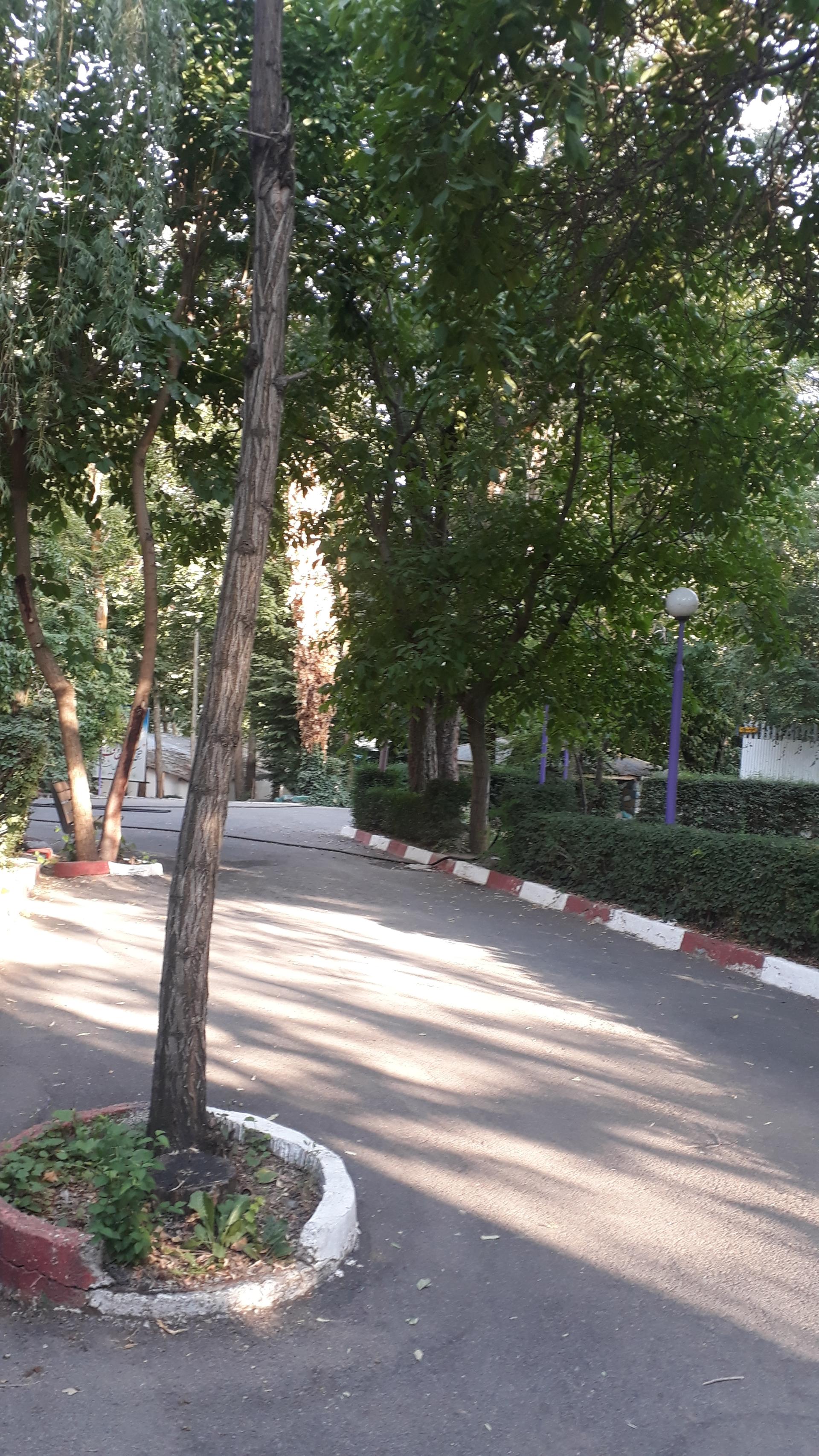 عکس شهرک شهید نامجو