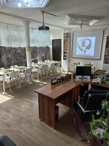 عکس باشگاه شطرنج ذهن برتر 