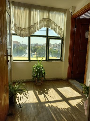 عکس باشگاه شطرنج ذهن برتر 