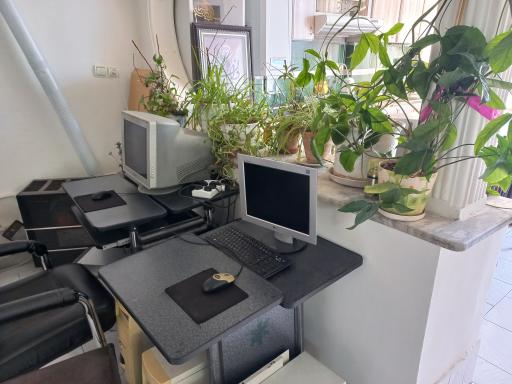 عکس باشگاه شطرنج ذهن برتر 