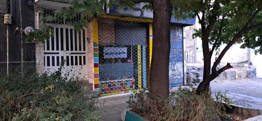 عکس ساندویچ نیم روز